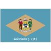 Delaware Medical Billing Services - Delaware state flag